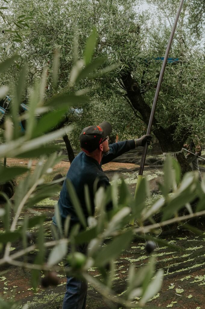 Folia Identità - L'arte dell'attesa